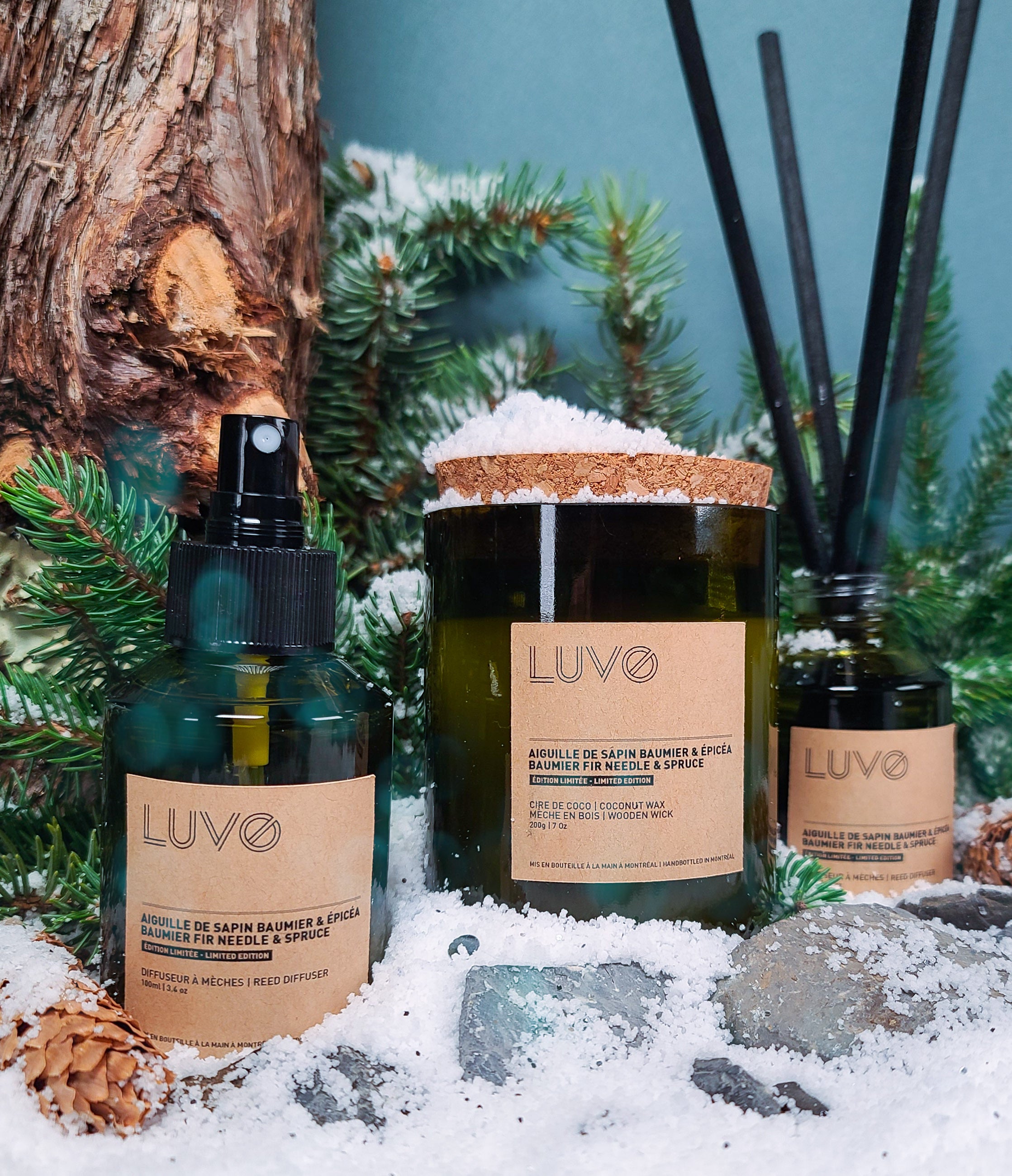 Juniper & Balsam Spruce Wooden Wick Candle handmade in Montreal LUVO