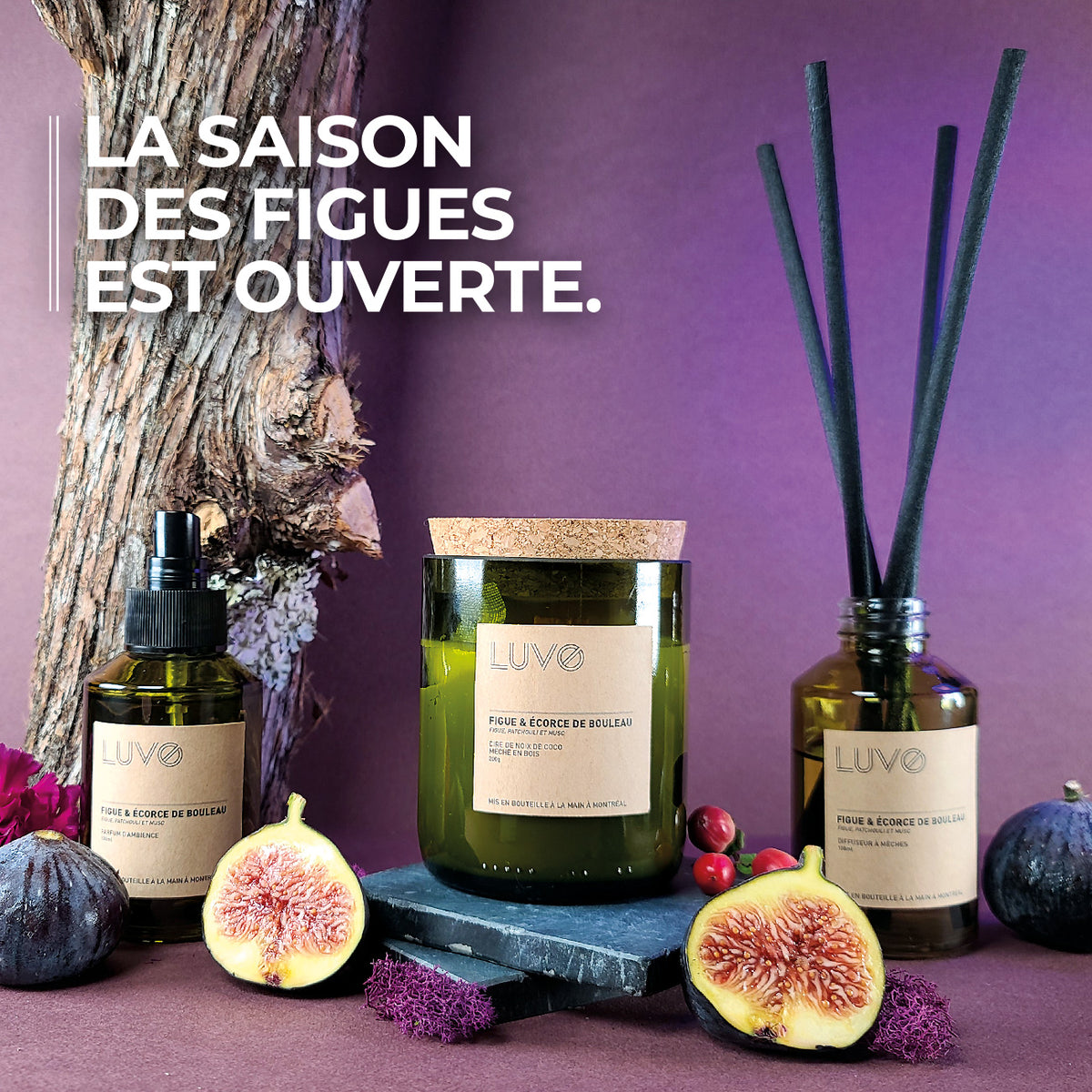 Bougie Parfumée Mèche de Bois Figue & Bouleau